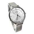 Skagen Anita Lille Silver Tone Steel Mesh Watch