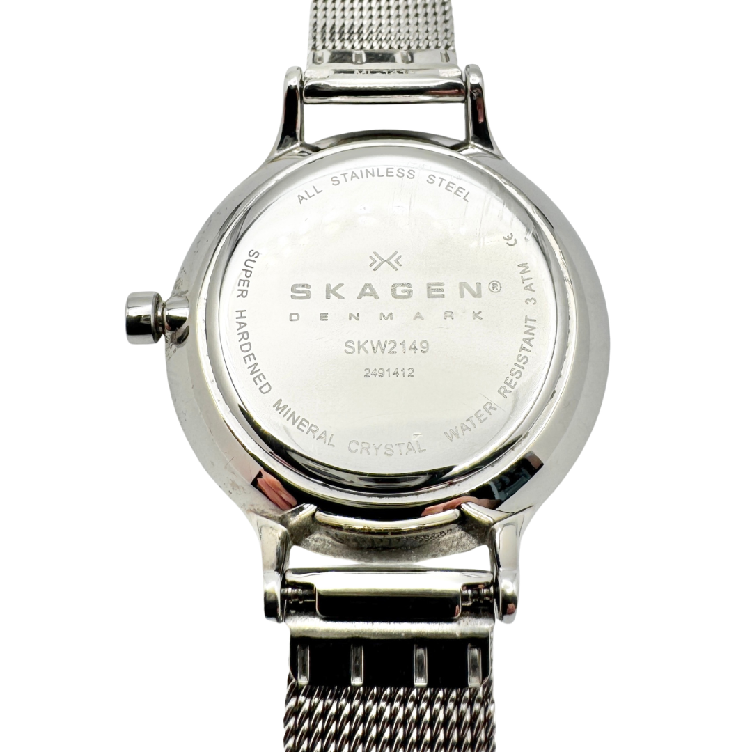 Skagen Anita Lille Silver Tone Steel Mesh Watch