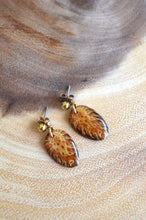 Load image into Gallery viewer, Brown and Gold Stone Earrings
